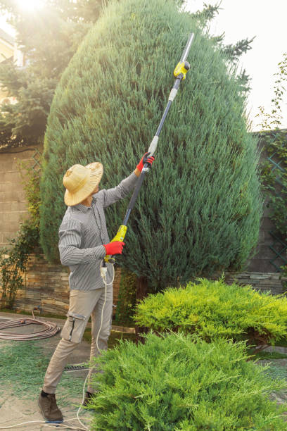 Best Arborist Consultation Services  in Steelevle, IL